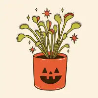 Venus Flytrap - design