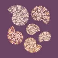 Fossilized Ammonites - design