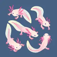 Axolotls - design