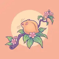 Fuzzy Peach Hamster - design