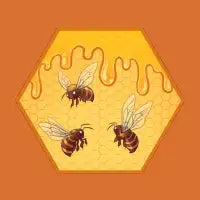 Honey and Bees - design