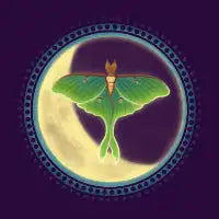 Luna - design