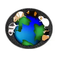 Planet Piggies - design
