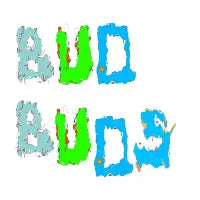 BUD BUDS - design