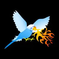 Dragon Budgie T-Shirt - design