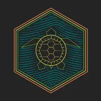 Geometric Turtle Hexagon - design