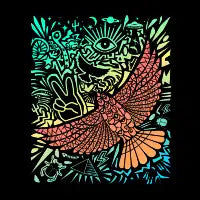 Graffiti Bird - design