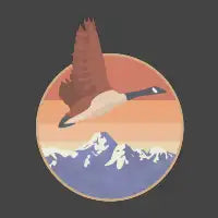 Sunset Goose Retro T-Shirt - design