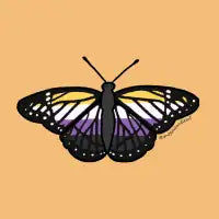 Nonbinary Butterfly Magnet - design