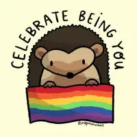 Rainbow Hedgehog T-Shirt - design