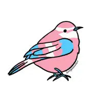 Trans Bird Button - design