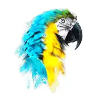 Watercolour blue yellow macaw parrot - design