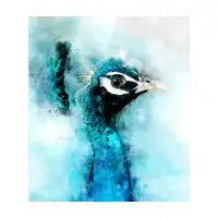 Peacock Peafowl - design