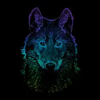 Wolf rainbow drawing animal - design