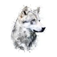 Wolf Watercolour - design