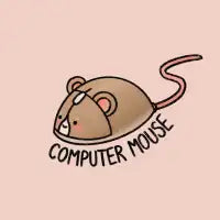 Computer Mouse - design