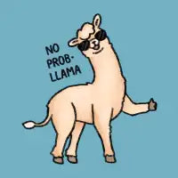 No Probllama - design