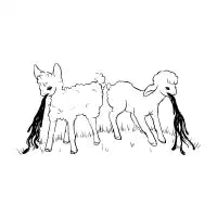 Two Sick Lambs Getting Sick - design