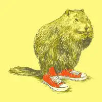 Woodchucks - design