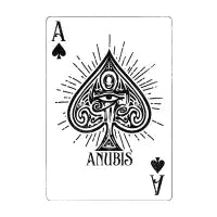 Anubis Ace - design