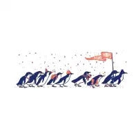 Migration - design