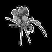Spider Minion Patch - design