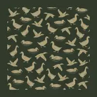 A FUCK-TON OF DUCKS - design