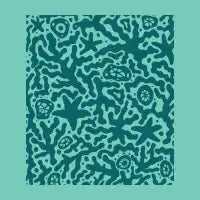 COR\L - design
