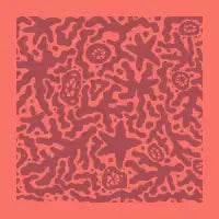 CORAL - design