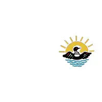 LOONY - design