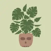 MONSTERA - design
