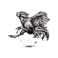 Aggressive rooster - design