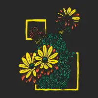 Cactus - design
