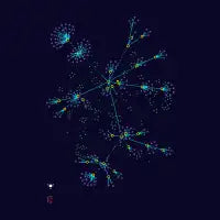 Data Flowers - design