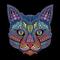 Cat T - design