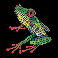 Frog C - design