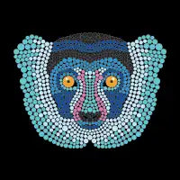 Lemur Y - design