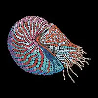 Nautilus S - design