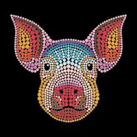 Pig K - design