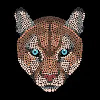 Puma U - design
