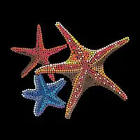 Starfish K - design