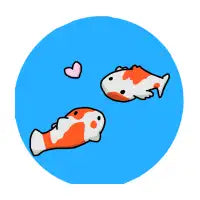 Koi Bois - design