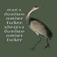 once a dumbass motherfucker, always a dumbass motherfucker (light text) - design