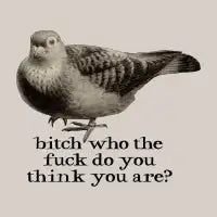 bitch who the fuck do you think you are_ dark text - design