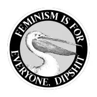 Feminism Is For Everyone, Dipshit - design