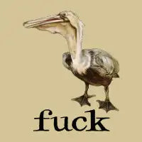 fuck pelican - design