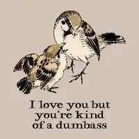 I love you but you're kind of a dumbass dark text - design