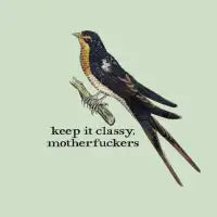 keep it classy, motherfuckers (dark text) - design