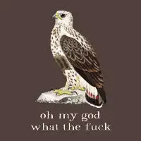 Oh My God What The Fuck - design