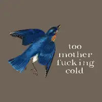 too motherfucking cold light text - design